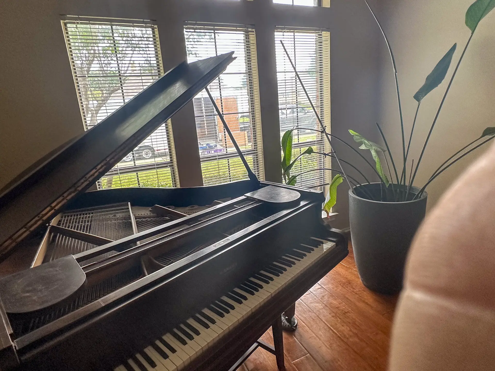 Grand piano with its lid open