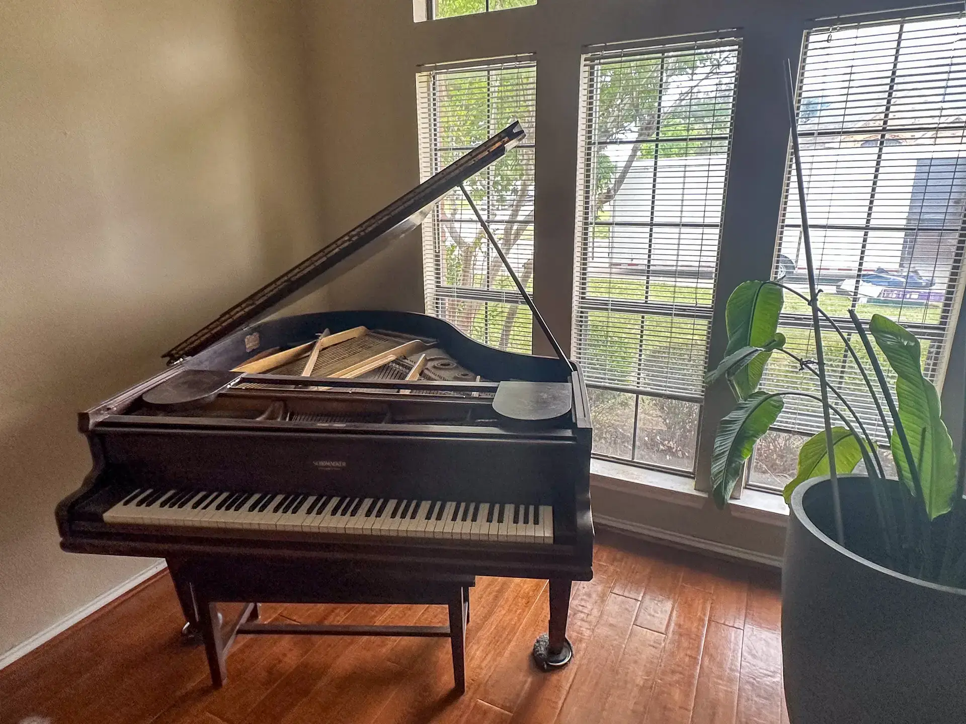 Grand piano beside tall windows